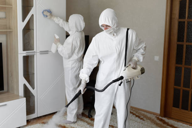 Best Toxic Mold Removal  in South Valley, NM