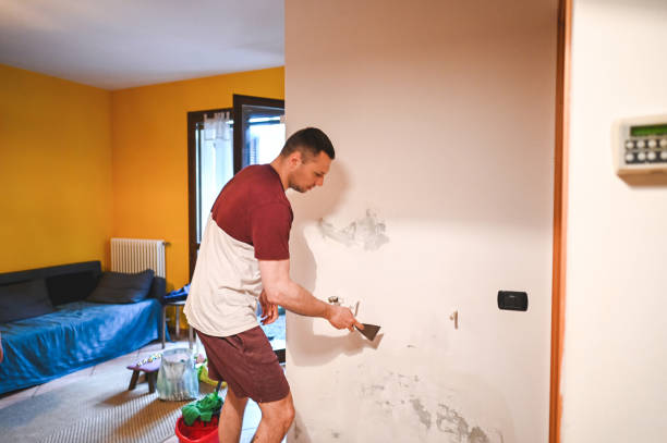 Professional Mold Removal in South Valley, NM